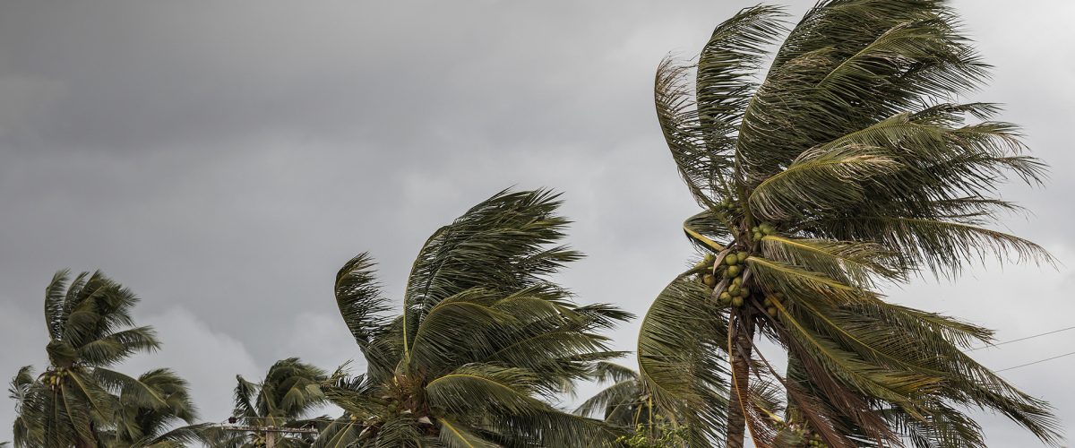 Hurricane Resources Banner