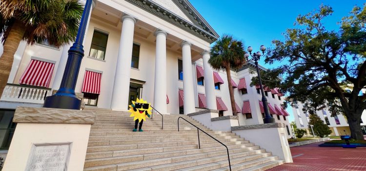 Advocacy at FSLA - Sunny Surplus Mascot