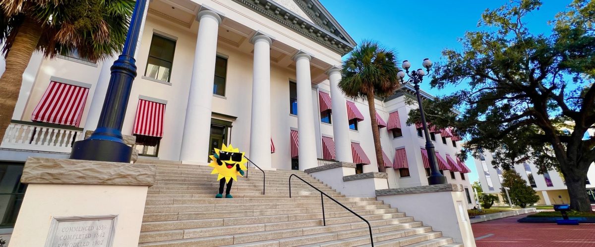 Advocacy at FSLA - Sunny Surplus Mascot