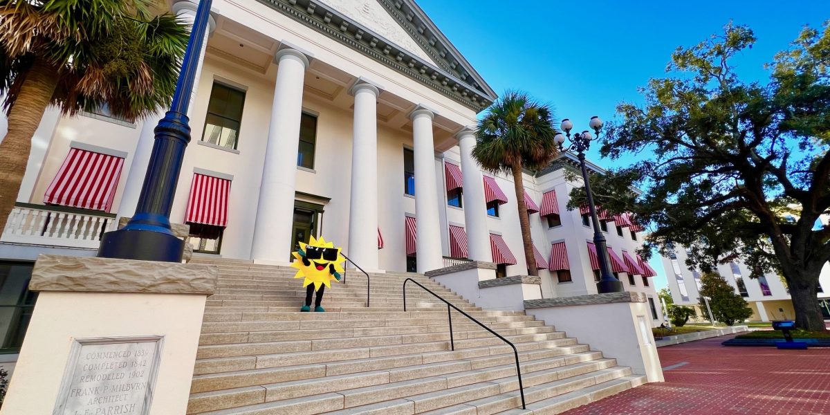 Advocacy at FSLA - Sunny Surplus Mascot